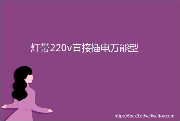 灯带220v直接插电万能型